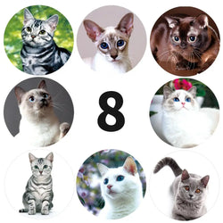 100-500pcs Creative Animals Cat Stickers 1inch Labels Reward Sticker For School Teacher Kids Smile Stationery Sticker (ONLINE ORDER ONLY)