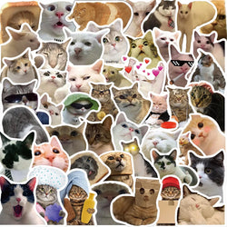 Cute Cat Meme Stickers for Skateboard, Guitar, Suitcase, Motorcycle - 10/30/50PCS (Online Order Only)