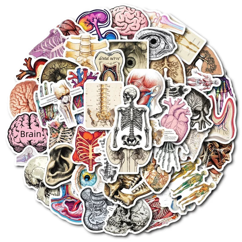 10/30/50PCS Kawaii Creative Brain PVC Sticker Aesthetic Children's Stationery DIY Decoration Scrapbooking School Supplies (ONLINE ORDER ONLY)