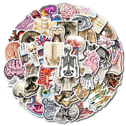 10/30/50PCS Kawaii Creative Brain PVC Sticker Aesthetic Children's Stationery DIY Decoration Scrapbooking School Supplies (ONLINE ORDER ONLY)