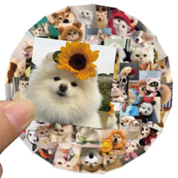 10/30/53PCS Cute Cats Dog Funny Stickers Cartoon Animals Graffiti Toys DIY Notebook Luggage Skateboard Guitar Kids Sticker Decal (ONLINE ORDER ONLY)