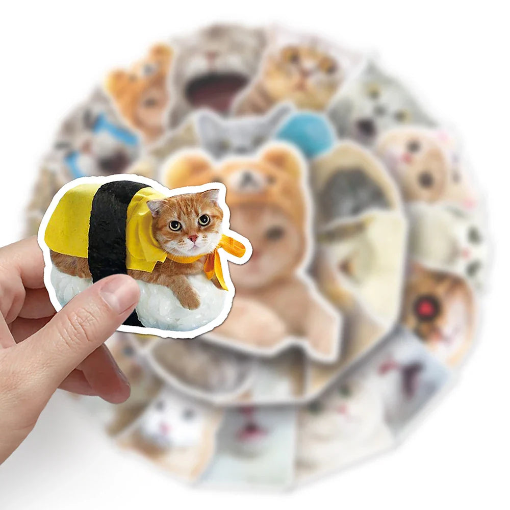 10/30/50PCS Funny Cute Cat Stickers Meme Kawaii Decals For Phone Notebook Laptop Phone Fridge Bike Graffiti DIY Waterproof Toys (ONLINE ORDER ONLY)