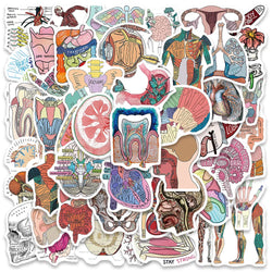 50PCS Human Organ Anatomy Stickers Waterproof DIY Laptop Phone Bottle Gift (Online Order Only)
