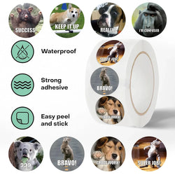 500PCS/Roll Animals Stickers For Kids Reward School Classroom Cartoon Cute Stickers For Teachers Parents DIY Craft (ONLINE ORDER ONLY)
