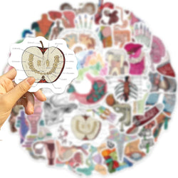 10/30/50PCS Funny Human Organ Medical Anatomy Stickers Cartoon Decals DIY Notebook Laptop Suitcase Stationery Waterproof Toys (ONLINE ORDER ONLY)