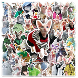 Sphynx Cat Stickers 10/30/50pcs Cartoon Decals for Laptop, Guitar, Luggage, Phone, Car, Kids Toys (Online Order Only)