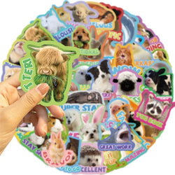 10/30/50PCS Cartoon Animal Encourage PVC Sticker Aesthetic Decoration Scrapbooking Stationery Hand Accounting Supplies for Kids (ONLINE ORDER ONLY)