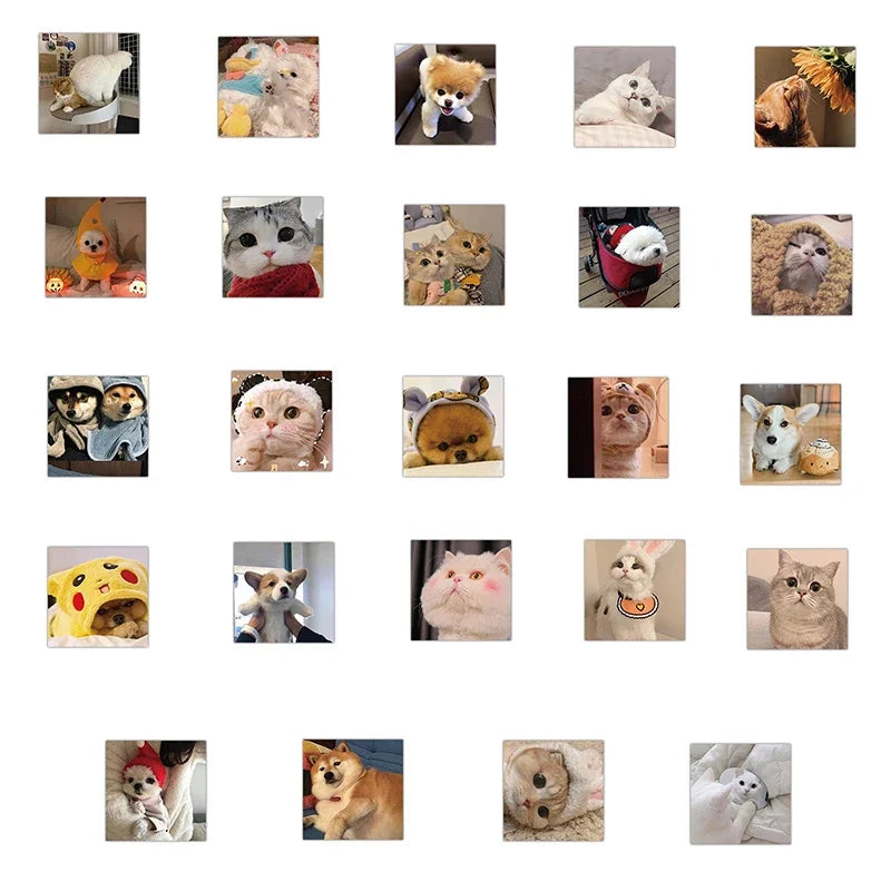 10/30/48PCS Cute Cat Dog Daily Sticker Aesthetic PVC Children's Decoration Korean Stationery Scrapbooking School Supplies (ONLINE ORDER ONLY)