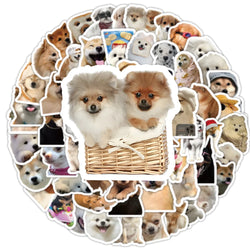 10/30/50/100PCS Cute Cartoon Dogs  Meme Graffiti Stickers Kids Toys DIY Diary Laptop Stationery Suitcase Phone Bike Funny Decals (ONLINE ORDER ONLY)