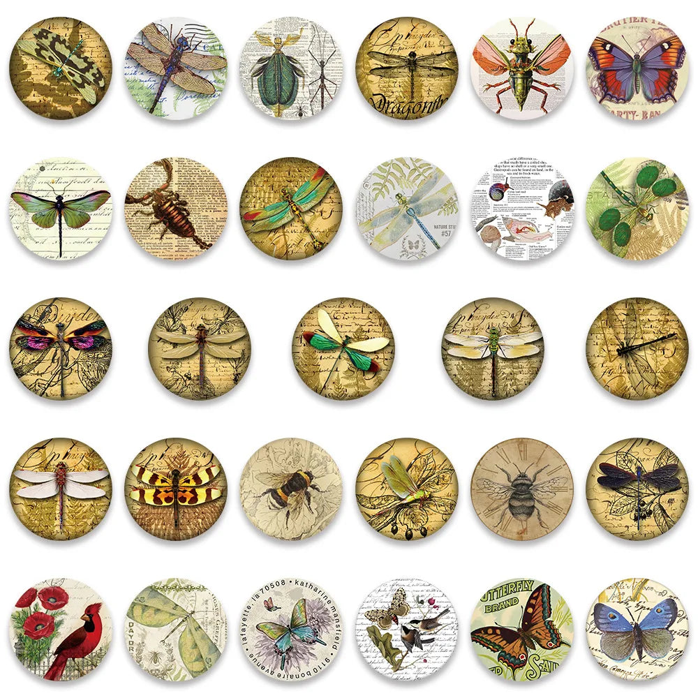 10/30/58PCS Retro Insects Stickers Graffiti Specimen DIY Album Skateboard Luggage Phone Planner Cartoon Decals Waterproof Toys (ONLINE ORDER ONLY)