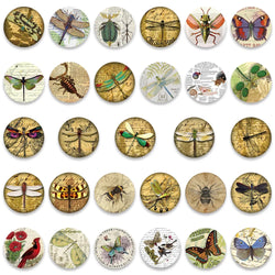 10/30/58PCS Retro Insects Stickers Graffiti Specimen DIY Album Skateboard Luggage Phone Planner Cartoon Decals Waterproof Toys (ONLINE ORDER ONLY)