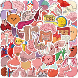 65Pcs Human Body Organ Stickers Cartoon Waterproof Sticker DIY Decals for Water Bottle Laptop Luggage Phone Kids Toys (Online Order Only)