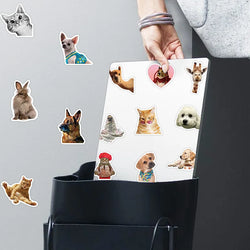 52pcs Cute Dogs Cats Animal Stickers For Luggage Laptop Water Bottle Vinyl Waterproof Graffiti Bicycle Car Decals Kids Toy (ONLINE ORDER ONLY)