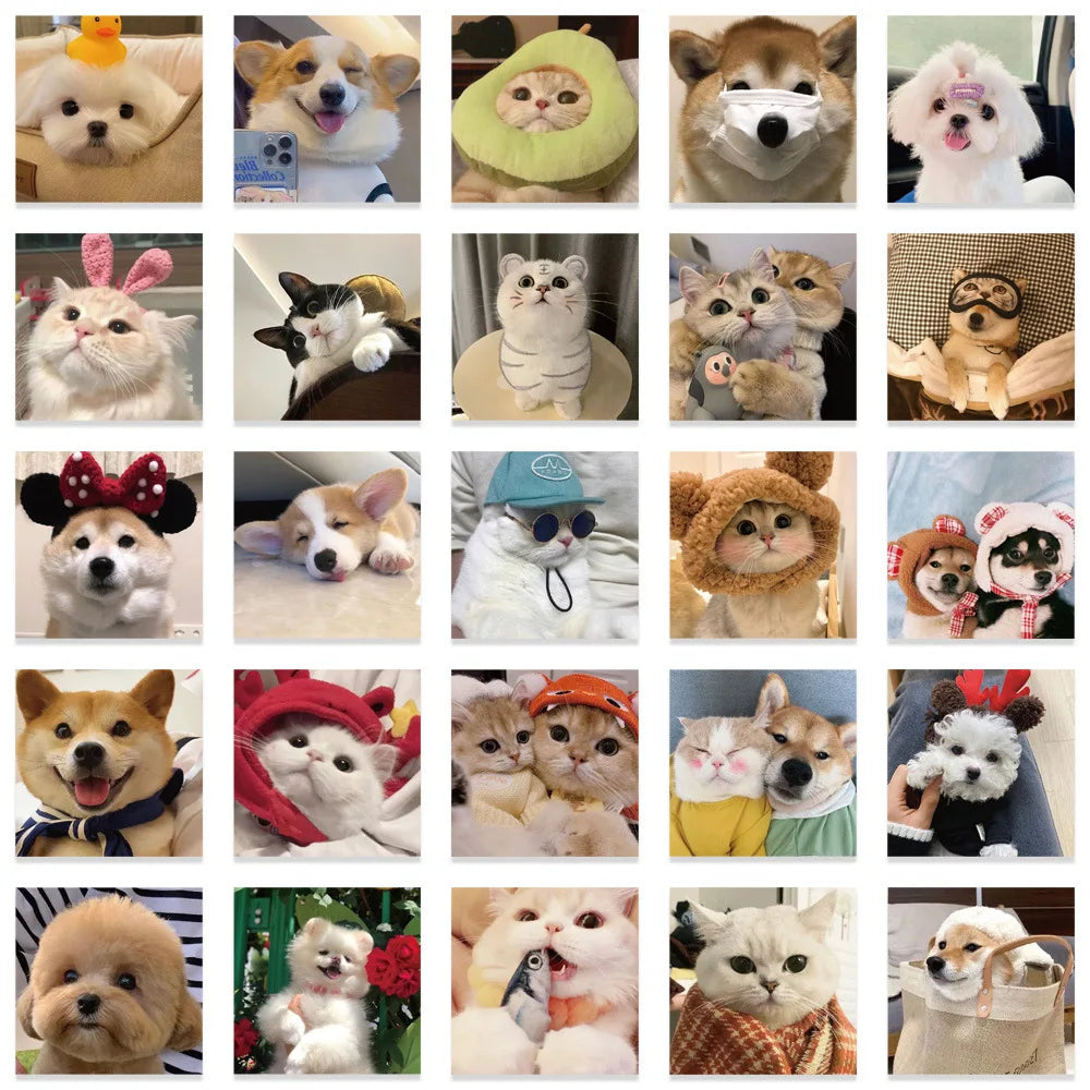 10/30/53PCS Cute Cats Dog Funny Stickers Cartoon Animals Graffiti Toys DIY Notebook Luggage Skateboard Guitar Kids Sticker Decal (ONLINE ORDER ONLY)