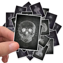 25pcs Anatomical Skeleton Chalkboard Stickers For Laptop PVC Water Bottle waterproof Decal Toy Medicine Student Gifts (Online Order Only)