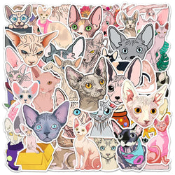 10/30/50PCS Sphynx Cats Stickers Cute Animal Decals Toys DIY Skateboard Phone Fridge Laptop Bike Car PVC Waterproof Sticker Gift (ONLINE ORDER ONLY)