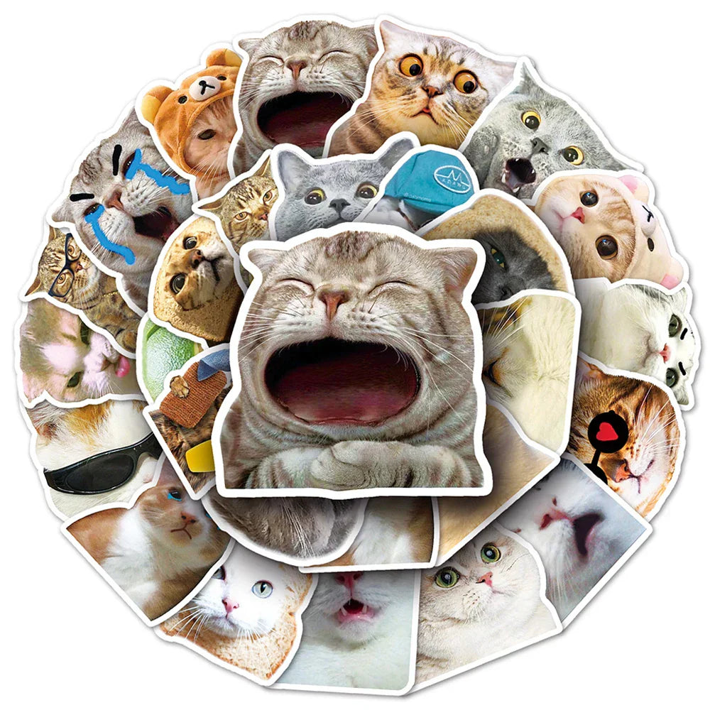 Cute Cat Meme Stickers Pack - Cartoon Animal Decals for Laptop, Phone, Scrapbook, Luggage, Kids Toy (ONLINE ORDER ONLY)