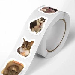 100-500pcs Funny Cats Cartoon Animals Stickers DIY Phone Guitar Laptop Notebook Suitcase Waterproof Sticker Kids Toy (ONLINE ORDER ONLY)
