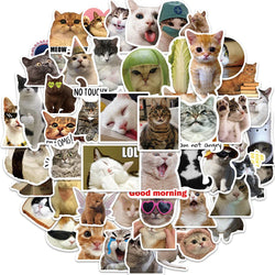 Funny Cat Meme Stickers Pack - Waterproof, DIY, Laptop, Phone, Luggage, Bike, Toy, Graffiti (Online Order Only)