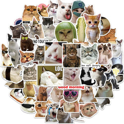 Funny Cat Meme Stickers Pack - Waterproof, DIY, Laptop, Phone, Luggage, Bike, Toy, Graffiti (Online Order Only)
