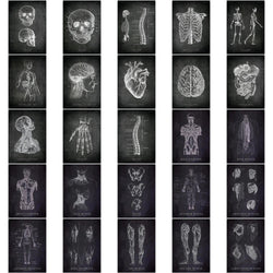 25pcs Anatomical Skeleton Chalkboard Stickers For Laptop PVC Water Bottle waterproof Decal Toy Medicine Student Gifts (Online Order Only)