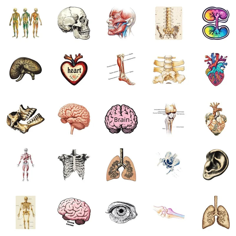 10/30/50PCS Kawaii Creative Brain PVC Sticker Aesthetic Children's Stationery DIY Decoration Scrapbooking School Supplies (ONLINE ORDER ONLY)