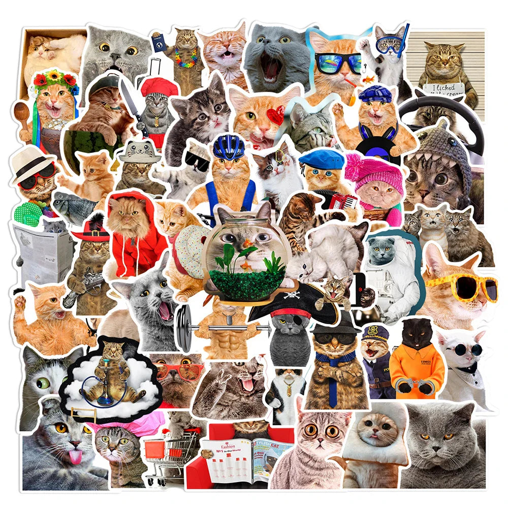 10/30/66PCS Funny Cat Stickers Cute Cartoon Decals Toys DIY Notebook Laptop Skateboard Luggage Phone Car Waterproof Kids Sticker (Online Order Only)