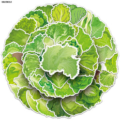 Cartoon Romaine Lettuce Stickers for Laptop Luggage Notebook Decal 10/30/50pcs (Online Order Only)
