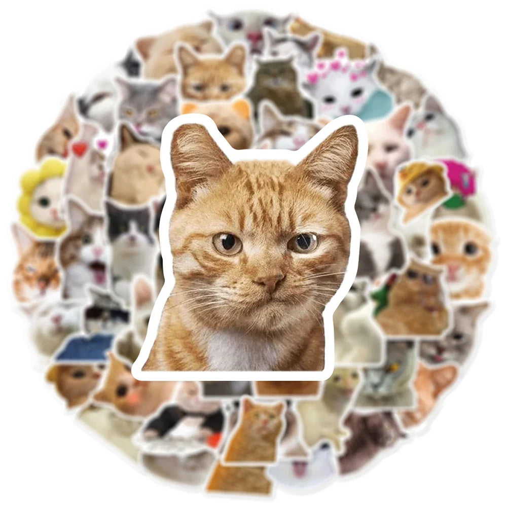 10/30/50pcs Cute Funny Meme Animal Cat Kitty Stickers Decals Kids Toy Laptop Suitcase Notebook Motorcycle Car Decoration Sticker (Online Order Only)