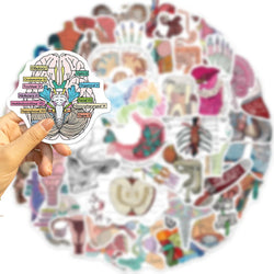 10/30/50PCS Funny Human Organ Medical Anatomy Stickers Cartoon Decals DIY Notebook Laptop Suitcase Stationery Waterproof Toys (ONLINE ORDER ONLY)