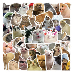 10/30/50PCS Cat Cartoon Stickers Funny Meme Kids Toy DIY Waterproof Luggage Laptop Suitcase Water Bike Bottle Decals Decoration (ONLINE ORDER ONLY)