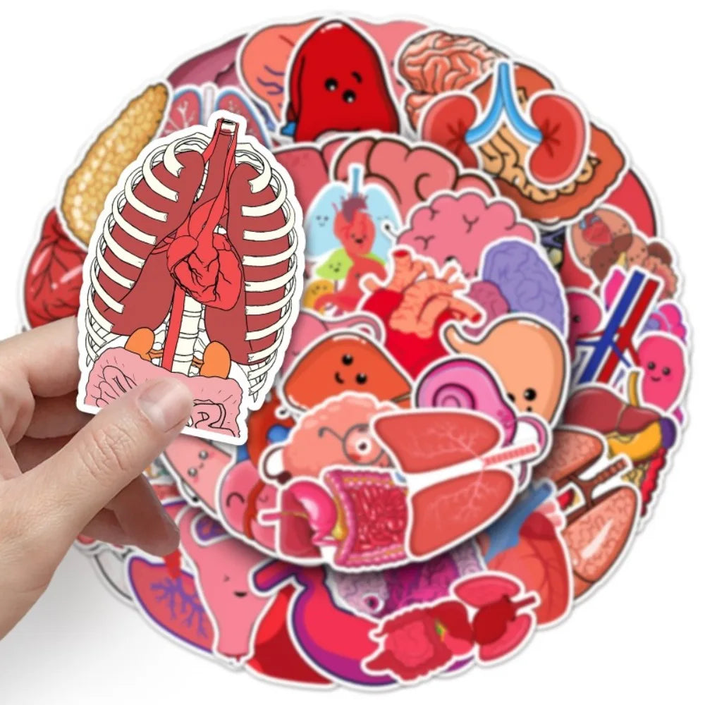 10/50Pcs Cartoon Human Organs Graffiti Stickers Decoration Phone Case Suitcase Luggage Case Sticker Waterproof for Kids Toys (ONLINE ORDER ONLY)