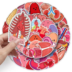 10/50Pcs Cartoon Human Organs Graffiti Stickers Decoration Phone Case Suitcase Luggage Case Sticker Waterproof for Kids Toys (ONLINE ORDER ONLY)