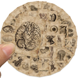 10/30/56pcs Vintage Horror Anatomy Physiology The Body Structure Stickers Skateboard Laptop Luggage Phone Car Bike Cool Sticker (ONLINE ORDER ONLY)