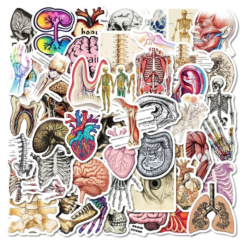 10/30/50PCS Kawaii Creative Brain PVC Sticker Aesthetic Children's Stationery DIY Decoration Scrapbooking School Supplies (ONLINE ORDER ONLY)