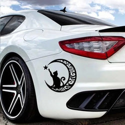 Cute Cat Stargazing Stickers，White and Black，For Cars, Trucks, Walls, Motorcycles (ONLINE ORDER ONLY)