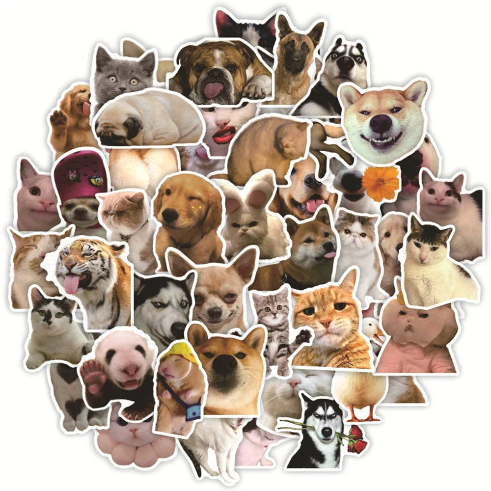 Funny Animal Cat Meme Stickers Pack - Waterproof Decals for Laptop, Luggage, Phone, Kids Toys (ONLINE ORDER ONLY)