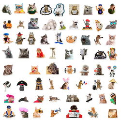 10/30/66PCS Funny Cat Stickers Cute Cartoon Decals Toys DIY Notebook Laptop Skateboard Luggage Phone Car Waterproof Kids Sticker (Online Order Only)