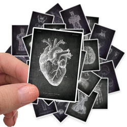 25pcs Anatomical Skeleton Chalkboard Stickers For Laptop PVC Water Bottle waterproof Decal Toy Medicine Student Gifts (Online Order Only)