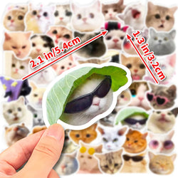 10/30/50/100pcs Cute Funny Meme Animal Cat Kitty Stickers Decals Laptop Notebook Luggage Car Decoration Sticker Kids Classic Toy (ONLINE ORDER ONLY)