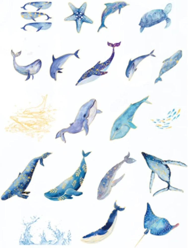 Kawaii Fantasy Whale Sea Turtle Starfish  Life Ocean Collection Washi Sticker Set for Scrapbooking Journaling (Online Order Only)