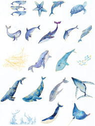Kawaii Fantasy Whale Sea Turtle Starfish  Life Ocean Collection Washi Sticker Set for Scrapbooking Journaling (Online Order Only)