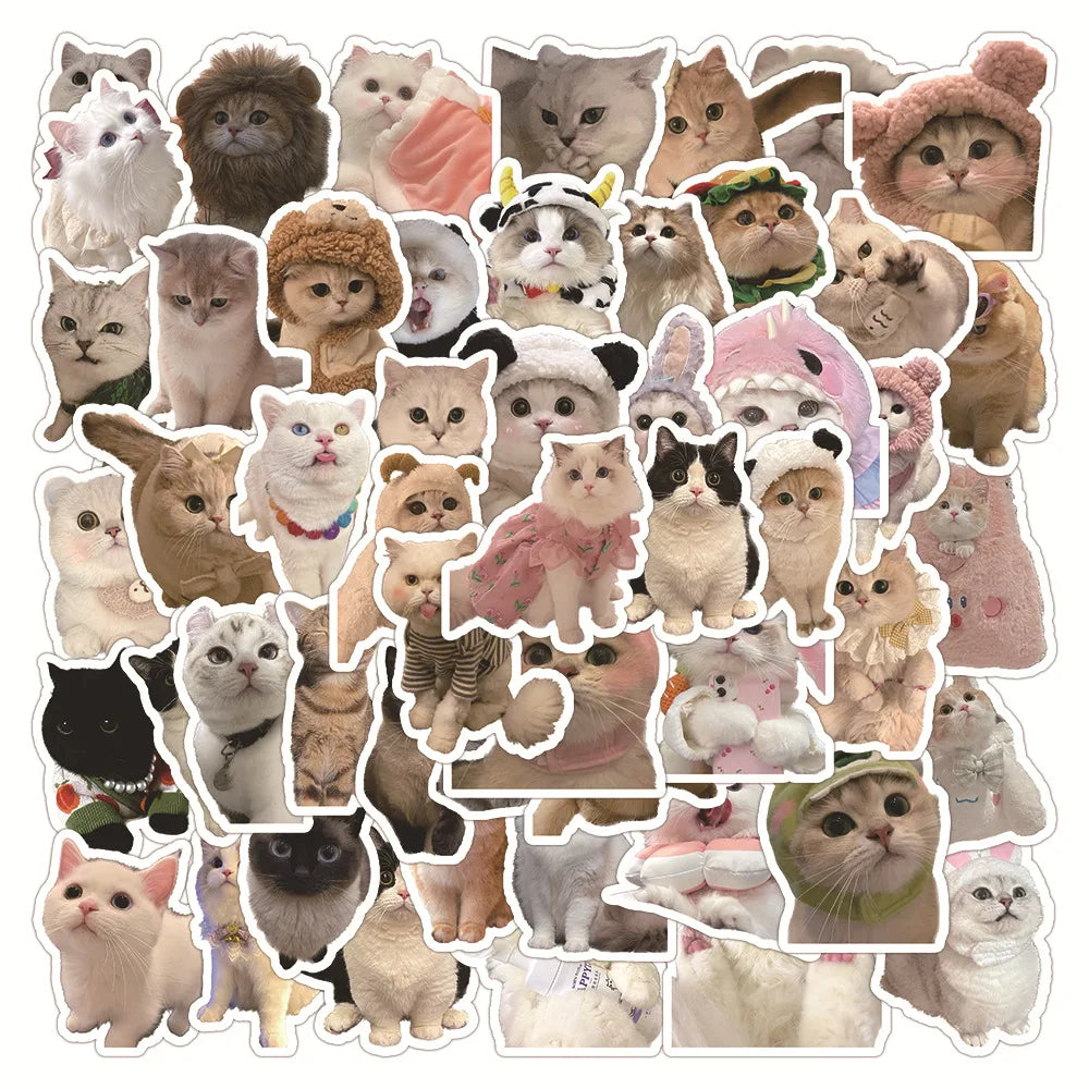 Kawaii Cat Stickers 10/30/60PCS for Luggage Laptop Phone Guitar Car Bike Skateboard Decals (Online Order Only)