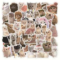 Kawaii Cat Stickers 10/30/60PCS for Luggage Laptop Phone Guitar Car Bike Skateboard Decals (Online Order Only)