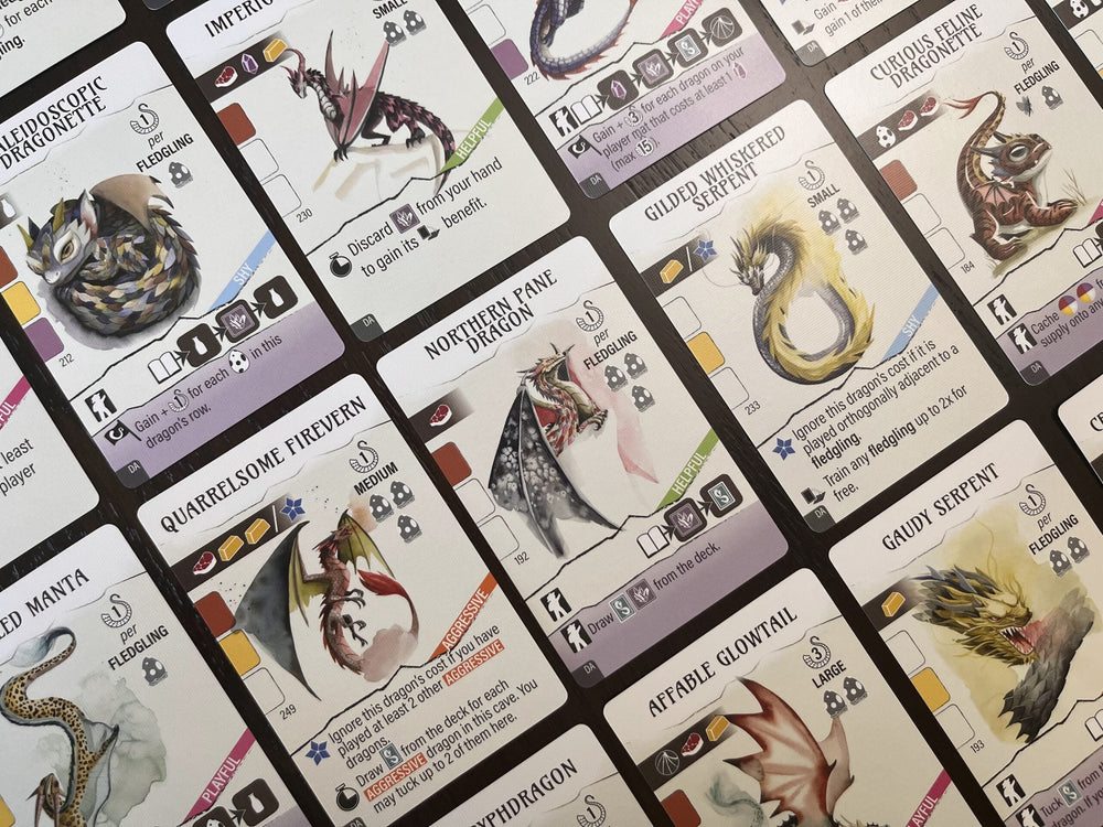 Wyrmspan: Dragon Academy