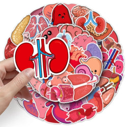 10/50Pcs Cartoon Human Organs Graffiti Stickers Decoration Phone Case Suitcase Luggage Case Sticker Waterproof for Kids Toys (ONLINE ORDER ONLY)