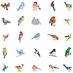 50pcs Cute Colorful Birds Animal Sticker Waterproof Graffiti For Phone Water Bottle Laptop Bicycle Car Decals Kids Toy (ONLINE ORDER ONLY)