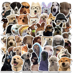 10/30/50PCS Cute Animals Meme Funny Cat Dog Stickers Graffiti Toy DIY Phone Notebook Motorcycle Suitcase Car Cartoon Wall Decals (Online Order Only)