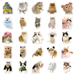 10/30/50/100PCS Kawaii Cats Stickers Cute Kitten Decals Toys DIY Phone Laptop Scrapbook Stationery Fridge Car Funny Meme Sticker (Online Order Only)