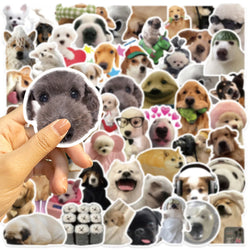 10/30/50PCS Kawaii Dog Stickers Meme Graffiti Animal Sticker Luggage Laptop Phone Guitar Car Bike Skateboard Decals Kids Toys (ONLINE ORDER ONLY)